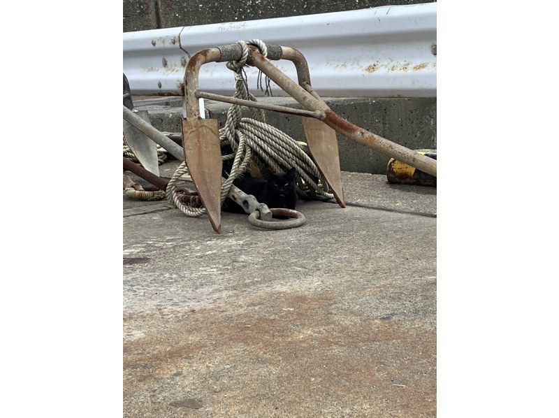 【石漾/熱田】在石漾灣悠閒釣魚、捕捉海鮮的一天（接送計畫）の紹介画像