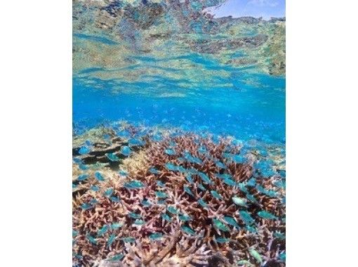 【宮古島】少人数制の八重干瀬シュノーケルツアー!手作りランチ付き!ドローン・水中写真データプレゼント&djiカメラ無料貸出中! 【宮古島】少人数制の八重干瀬シュノーケルツアー!手作りランチ付き!ドローン・水中写真データプレゼント&djiカメラ無料貸出中!