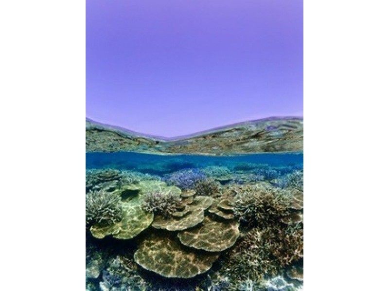 【宮古島】少人数制の八重干瀬シュノーケルツアー!手作りランチ付き!ドローン・水中写真データプレゼント&djiカメラ無料貸出中!の紹介画像