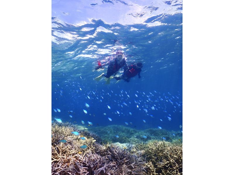 【宮古島】少人数制の八重干瀬シュノーケルツアー！手作りランチ付き！ドローン・水中写真データプレゼント＆djiカメラ無料貸出中！の紹介画像