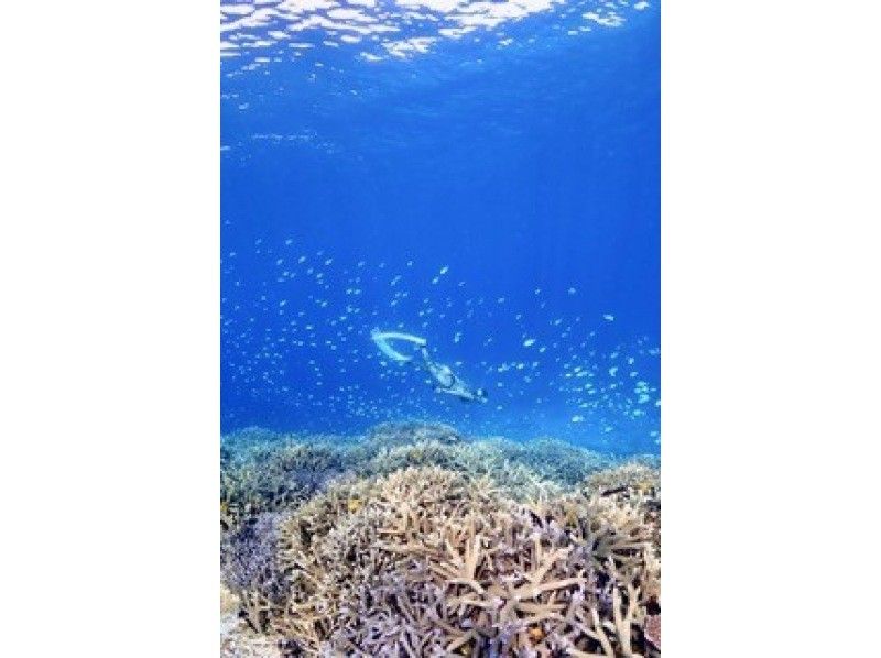 【宮古島】八重干瀬まで最短の池間島出発！少人数制の1日のんびり八重干瀬シュノーケルツアー！船長の手作りランチ付き★水中写真データプレゼント♪の紹介画像