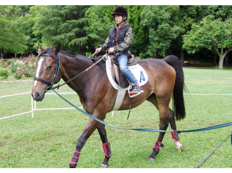 兵庫県の事業者「明石乗馬協会」による乗馬体験の様子