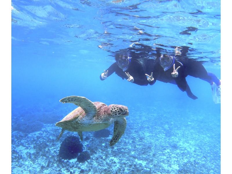 ☆スプリングセール実施中！満足度NO.1☆超欲張りセットプラン！ ウミガメシュノーケル✖クリアサップ体験【沖縄・宮古島】の紹介画像