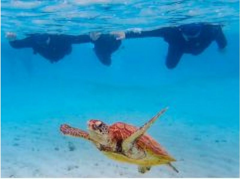 ☆スプリングセール実施中！満足度NO.1☆超欲張りセットプラン！ ウミガメシュノーケル✖クリアサップ体験【沖縄・宮古島】の紹介画像