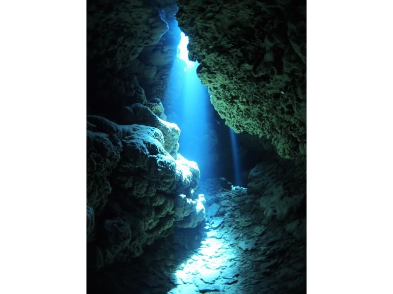 Summer vacation special discount plan! [Okinawa, Ishigaki Island] ★Free equipment rental★ Fun diving (boat) [Let's go meet the popular people in the beautiful sea♪] Copyの紹介画像