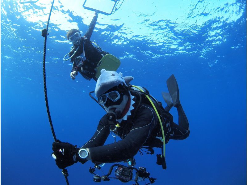 Summer vacation special discount plan! [Okinawa, Ishigaki Island] ★Free equipment rental★ Fun diving (boat) [Let's go meet the popular people in the beautiful sea♪] Copyの紹介画像