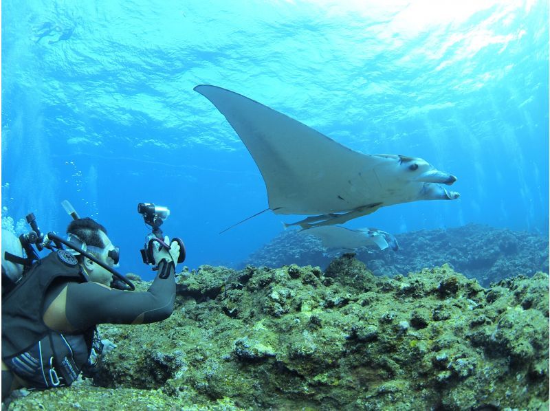 Summer vacation special discount plan! [Okinawa, Ishigaki Island] ★Free equipment rental★ Fun diving (boat) [Let's go meet the popular people in the beautiful sea♪] Copyの紹介画像