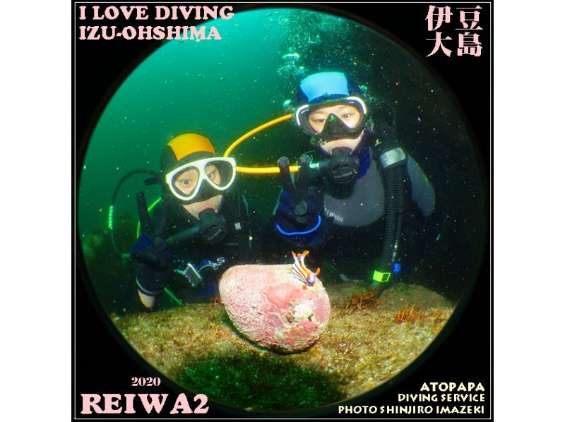 【東京・伊豆大島】体験ダイビングにチャレンジ・写真サービスの紹介画像