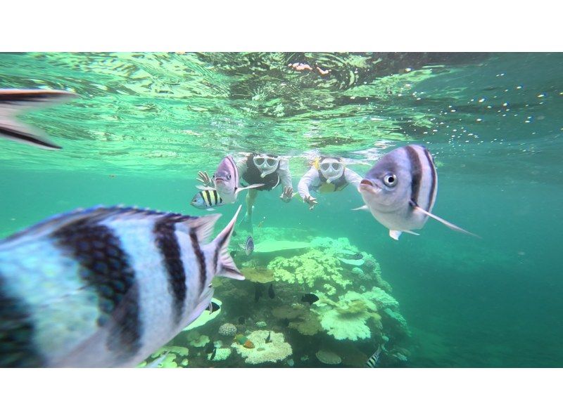 【沖縄中部・北谷町】ビーチシュノーケリング！珊瑚に魚・動画写真プレゼント！カップル・女性グループ・家族の紹介画像