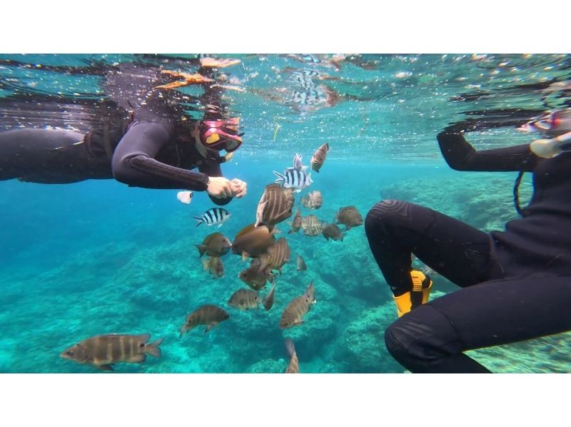 【沖縄中部・北谷町】ビーチシュノーケリング！珊瑚に魚・動画写真プレゼント！カップル・女性グループ・家族の紹介画像