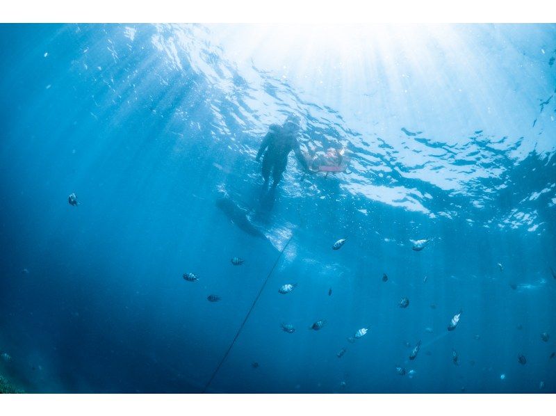 【沖縄中部・北谷町】ビーチシュノーケリング！珊瑚に魚・動画写真プレゼント！カップル・女性グループ・家族の紹介画像