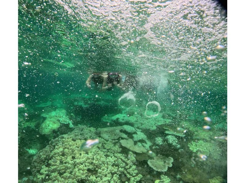 【沖縄中部・北谷町】ビーチシュノーケリング！珊瑚に魚・動画写真プレゼント！カップル・女性グループ・家族の紹介画像