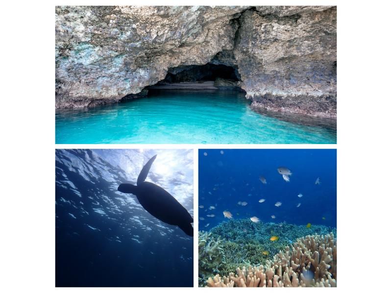 【石垣島・シュノーケル】ウミガメ&ニモに会える！手ぶら&当日受付OK！青の洞窟までお店から徒歩すぐ！シャワー・トイレ・駐車場完備！団体OK！の紹介画像