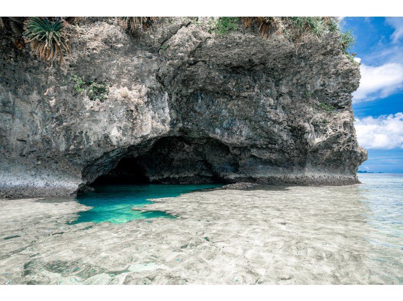 【石垣島・シュノーケル】ウミガメ&ニモに会える！手ぶら&当日受付OK！青の洞窟までお店から徒歩すぐ！シャワー・トイレ・駐車場完備！団体OK！の紹介画像