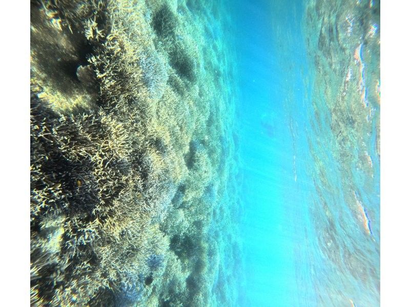 Recommended by ANA [Miraculous Barasu Island & Hatoma Blue Snorkeling] Amazing Hatoma Blue Snorkeling Tour with outstanding transparency [Equipment, transportation, and photos are free]の紹介画像