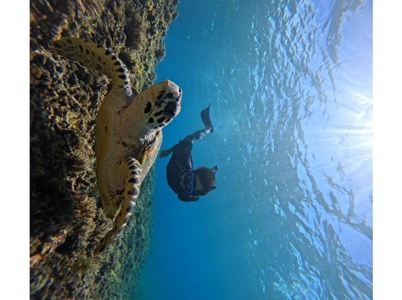 Recommended by ANA [Miraculous Barasu Island & Hatoma Blue Snorkeling] Amazing Hatoma Blue Snorkeling Tour with outstanding transparency [Equipment, transportation, and photos are free]の紹介画像