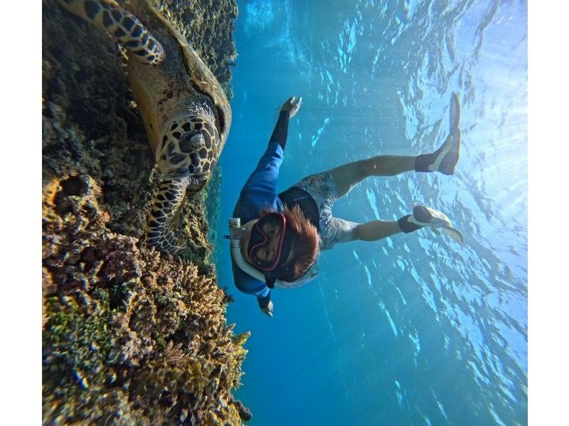 Recommended by ANA [Miraculous Barasu Island & Hatoma Blue Snorkeling] Amazing Hatoma Blue Snorkeling Tour with outstanding transparency [Equipment, transportation, and photos are free]の紹介画像