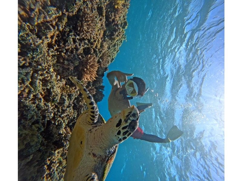 Recommended by ANA [Miraculous Barasu Island & Hatoma Blue Snorkeling] Amazing Hatoma Blue Snorkeling Tour with outstanding transparency [Equipment, transportation, and photos are free]の紹介画像
