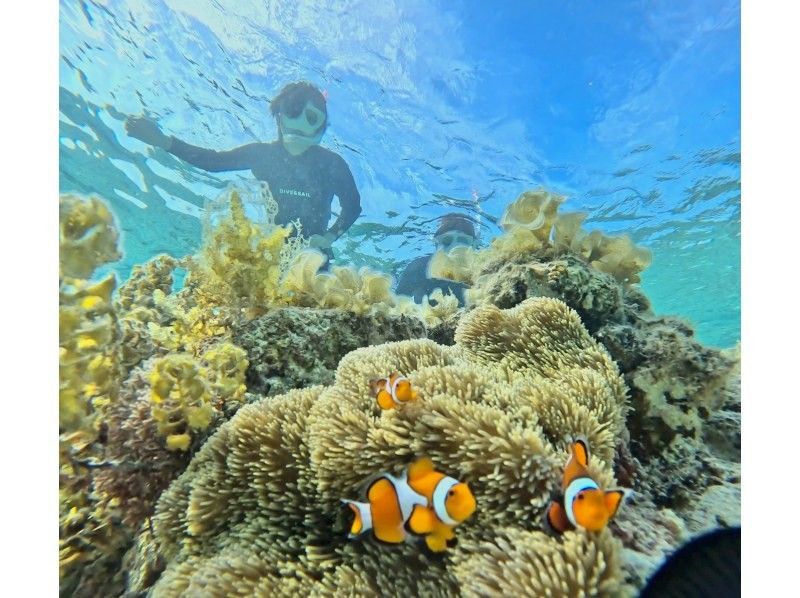 ANA誌掲載【奇跡のバラス島&鳩間ブルーシュノーケル】抜群の透明度鳩間ブルー感動シュノーケルツアー【機材・送迎・写真無料】の紹介画像