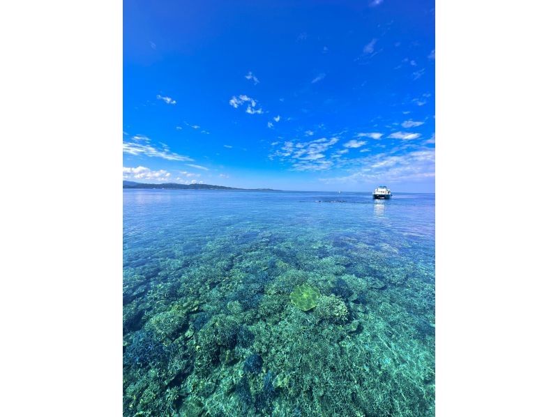 Recommended by ANA [Miraculous Barasu Island & Hatoma Blue Snorkeling] Amazing Hatoma Blue Snorkeling Tour with outstanding transparency [Equipment, transportation, and photos are free]の紹介画像