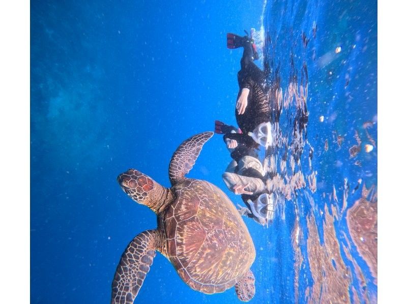 ANA誌掲載【奇跡のバラス島&鳩間ブルーシュノーケル】抜群の透明度鳩間ブルー感動シュノーケルツアー【機材・送迎・写真無料】の紹介画像