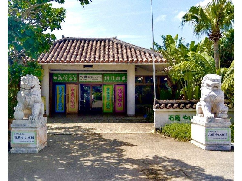 E [Ishigaki Island] The ultimate one-day special tour! Touring the island's sights and snorkeling, SUP and kayaking<SP>の紹介画像
