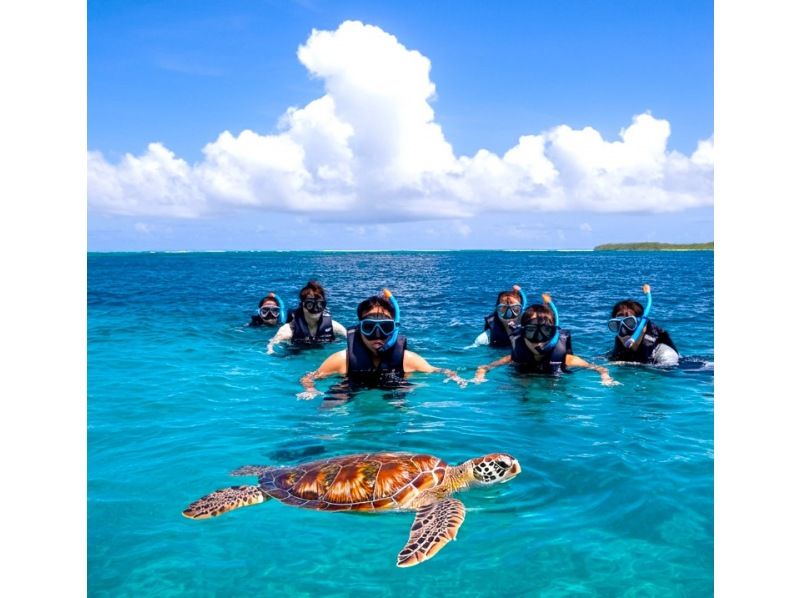 E [Ishigaki Island] The ultimate one-day special tour! Touring the island's sights and snorkeling, SUP and kayaking<SP>の紹介画像