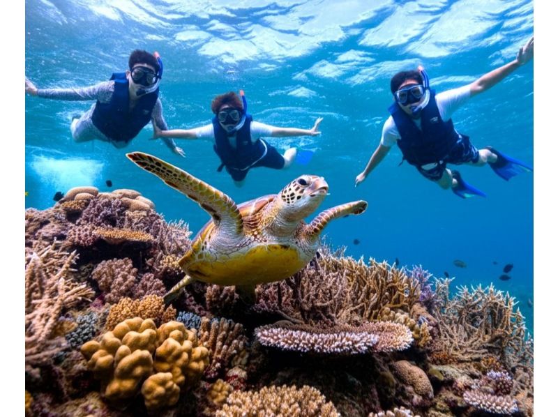 E [Ishigaki Island] The ultimate one-day special tour! Touring the island's sights and snorkeling, SUP and kayaking<SP>の紹介画像