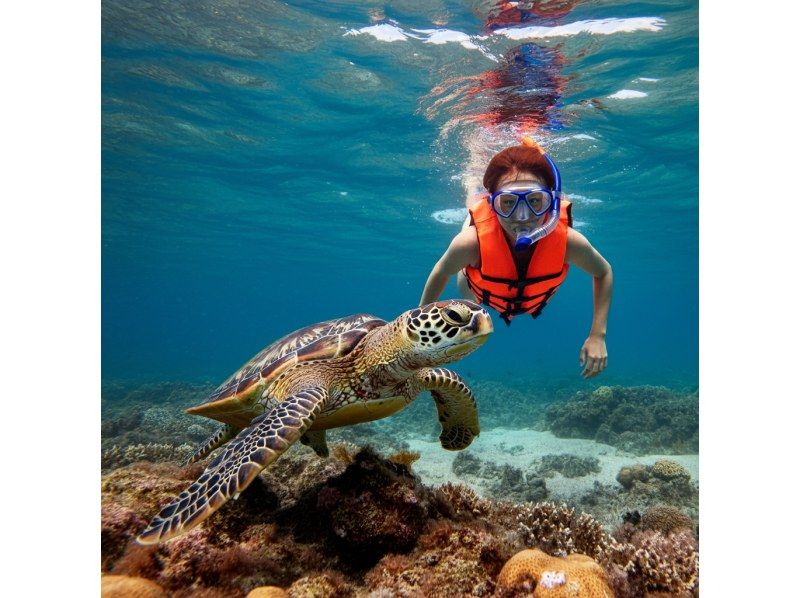 E [Ishigaki Island] The ultimate one-day special tour! Touring the island's sights and snorkeling, SUP and kayaking<SP>の紹介画像