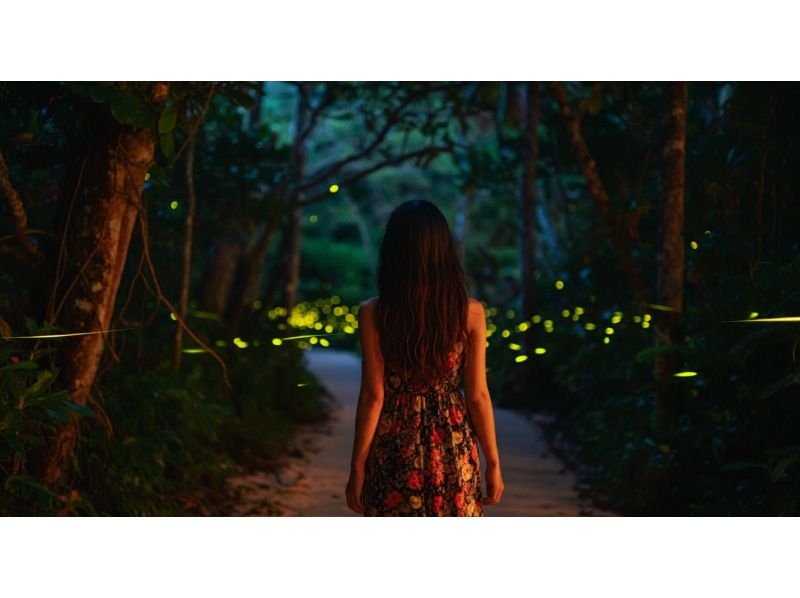 E [Okinawa, Ishigaki Island] April-July only ★ [Sunset, Fireflies, Hanging Flowers] Rare! Night tour Free photography and free pick-up!<SUN/NT>の紹介画像