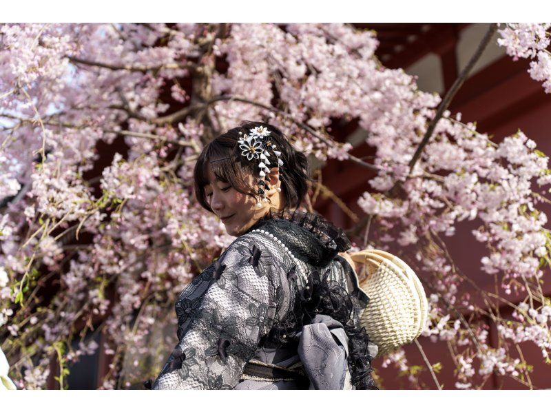 【浅草】プロカメラマンによる120枚撮影 全レタッチありプラン｜浅草 着物 レンタル 写真撮影の紹介画像