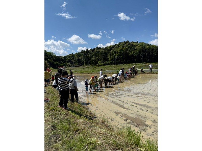 【千葉・九十九里】虫生の竈（ムショウノカマド）家族で楽しむ収穫＆田園食体験、世界一のおにぎり 。 お子様の食育に最適ですの紹介画像