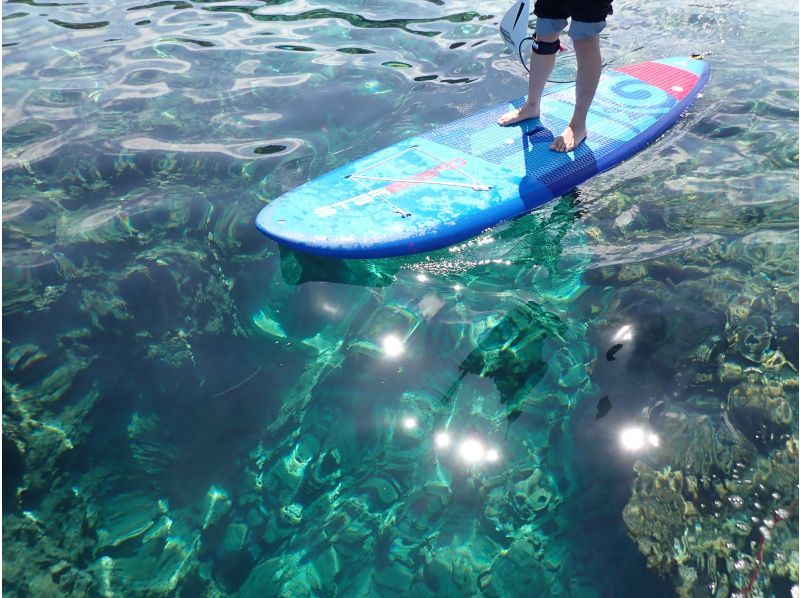 【沖縄・名護】SUP＋シュノーケルの大人気セットプラン〜SUPで綺麗な沖ポイントでシュノーケルも満喫！（美ら海水族館・名護市周辺）の紹介画像