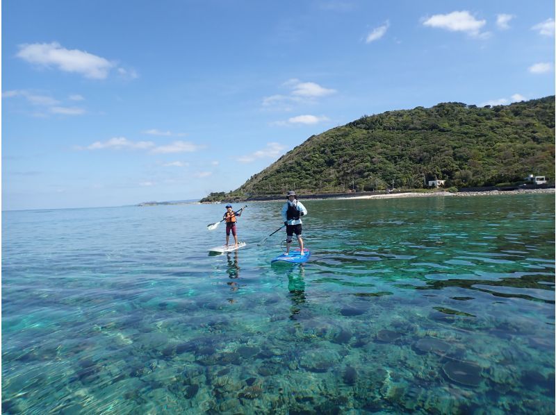 【沖縄・名護】SUP＋シュノーケルの大人気セットプラン〜SUPで綺麗な沖ポイントでシュノーケルも満喫！（美ら海水族館・名護市周辺）の紹介画像