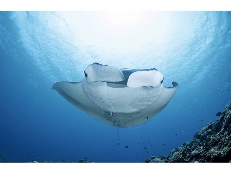 [Okinawa/Ishigaki] Full-Day Snorkel Tour: Sunken Ship & Secret Island. For Families & Couples.