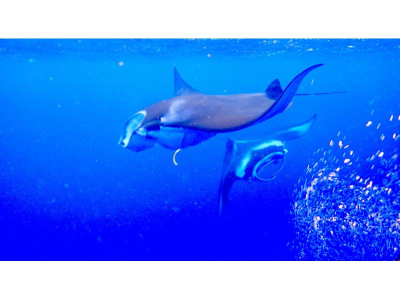 [Okinawa/Ishigaki] Full-Day Snorkel Tour: Sunken Ship & Secret Island. For Families & Couples.