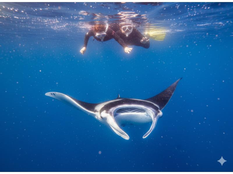 【スーパーSALE】マンタシュノーケリング★ドローン撮影・Gopro撮影無料★器材無料レンタル!の紹介画像