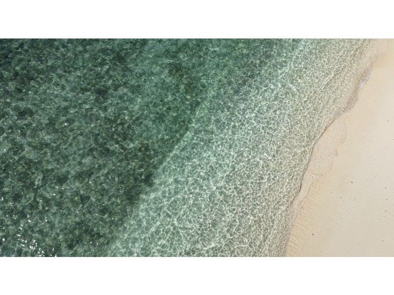 [Ishigaki Island • 8:30 AM • Boat] One-Day Snorkeling Tour from Ishigaki Island to Hatoma Island, Iriomote Island or Kuroshima Island, and Aragusuku Island (Panari) <Drone and GoPro Filming Included>の紹介画像