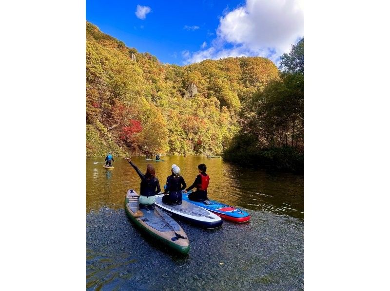 【北海道・札幌・定山渓】定山渓SUPツアー！札幌の奥座敷定山渓の渓谷をゆったりクルージング！札幌中心街から車で40分！の紹介画像