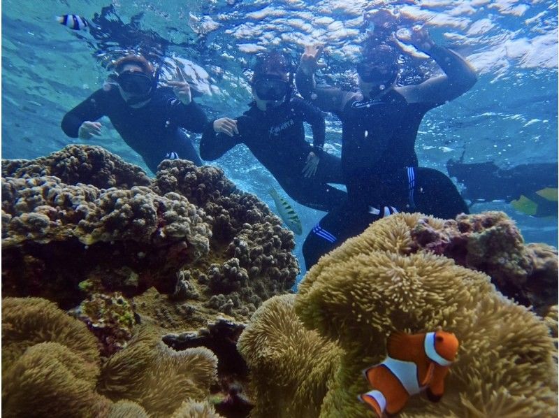 【宮古島】珊瑚礁&熱帯魚シュノーケル♪《12歳未満は子供料金‼︎当日予約OK‼︎体験90分》の紹介画像