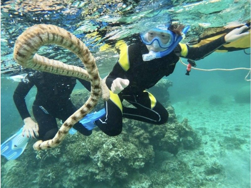 【宮古島】珊瑚礁&熱帯魚シュノーケル♪《12歳未満は子供料金‼︎当日予約OK‼︎体験90分》の紹介画像