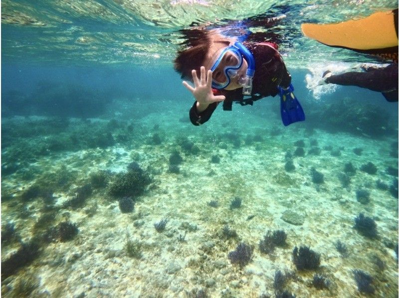 【宮古島】珊瑚礁&熱帯魚シュノーケル♪《12歳未満は子供料金‼︎当日予約OK‼︎体験90分》の紹介画像