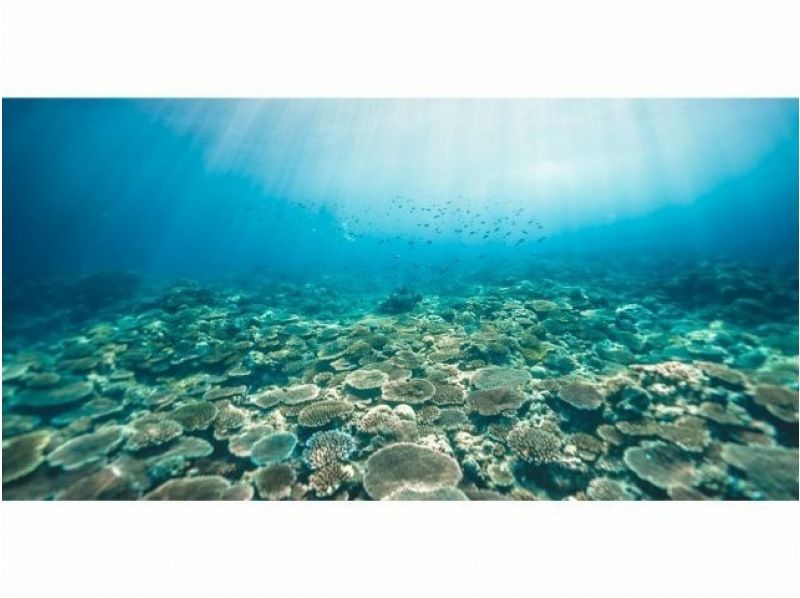 【恩納村発!! 大人気青の洞窟＆絶景シュノーケリングクルーズ】初心者大歓迎！追加料金無し!ドローン＆水中撮影無料★SUPや水上マットも無料♪の紹介画像