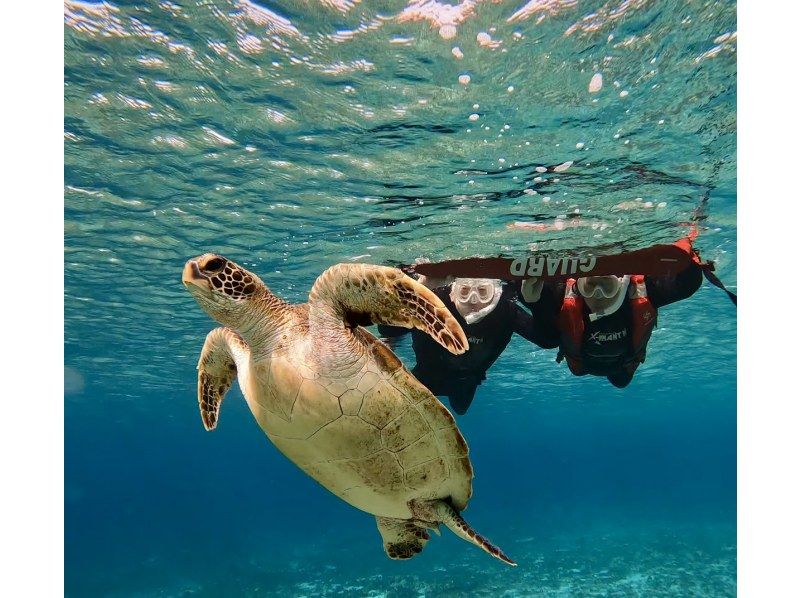 【1組限定完全貸切・他者無し・初心者向け】⭐元USJダンサーエンターテイナー型ガイド⭐️ドローン撮影SUP&times;ウミガメシュノーケルセットプランの紹介画像