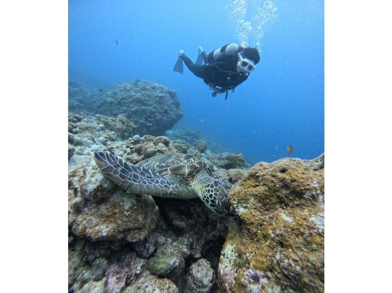 【石垣島/OWD駕照課程】最快2天即可考取！在南部島嶼上首次體驗您期待已久的潛水之旅！ PADI 開放水域潛水員執照の紹介画像