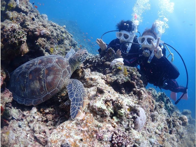 【石垣島/OWD駕照課程】最快2天即可考取！在南部島嶼上首次體驗您期待已久的潛水之旅！ PADI 開放水域潛水員執照の紹介画像