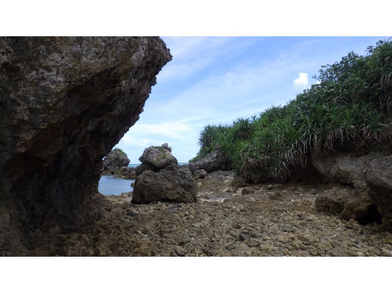 【冲绳、糸满】在无人岛的海上享受Clear Sup、滑水、香蕉船等刺激的活动！ 120分钟内享受10种海上活动！の紹介画像