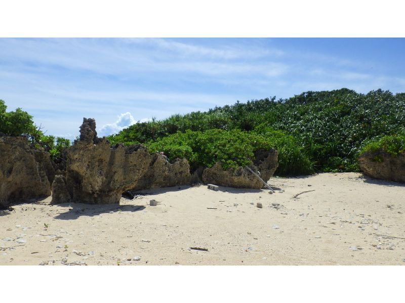 [Itoman/Naha] Have fun in the deserted sea with thrilling activities including clear sup, wakeboarding, and banana boats! 10 kinds of marine activities for 120 minutes!の紹介画像