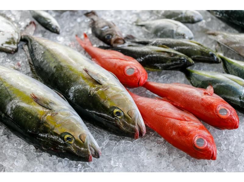 【三重・志摩】＜プレミアムコース＞地元鮮魚店プレミアムバックヤード体験　～高級食材を匠の技で～　の紹介画像