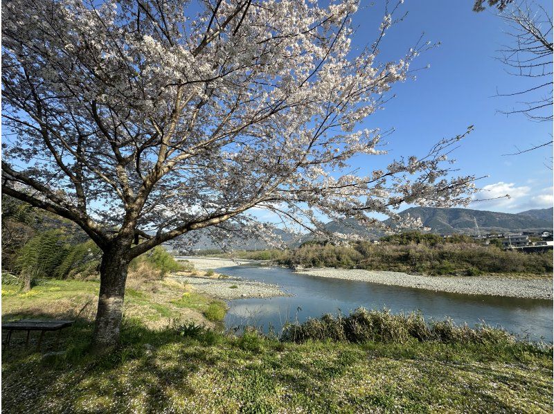 【徳島・吉野川】☆限定開催☆「ジオってなに！？」わくわく川くだり大冒険 スペシャルツアー♪～ 遊んで学べる 川の自然体験～の紹介画像
